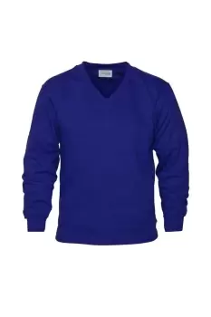 Image of V Neck Sweat