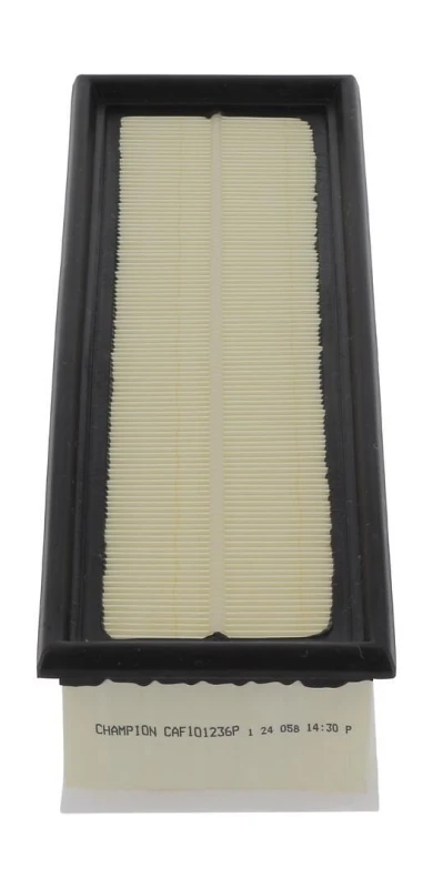Image of Air filter CHAMPION CAF101236P