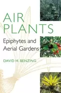 Image of air plants epiphytes and aerial gardens