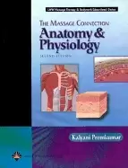Image of massage connection anatomy and physiology