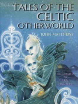 Image of Tales of the Celtic Otherworld by John Matthews and Ian Daniels Hardback