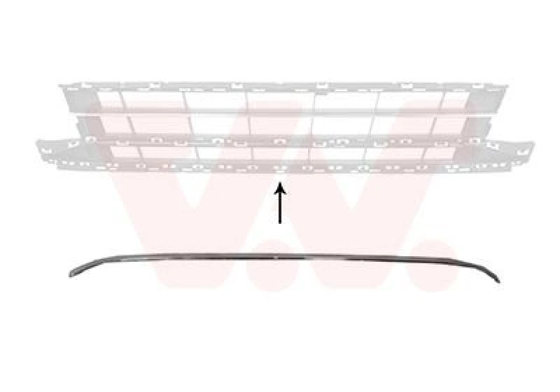 Image of VAN WEZEL Trim / Protective Strip, radiator grille VAN WEZEL 5742585