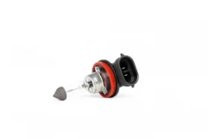Image of Bosch Light Bulbs DACIA,HONDA,AUDI 1 987 302 084 Bulb, fog light