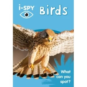 Image of i-SPY Birds : What Can You Spot?