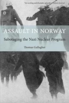 Image of Assault in Norway by Thomas Gallagher