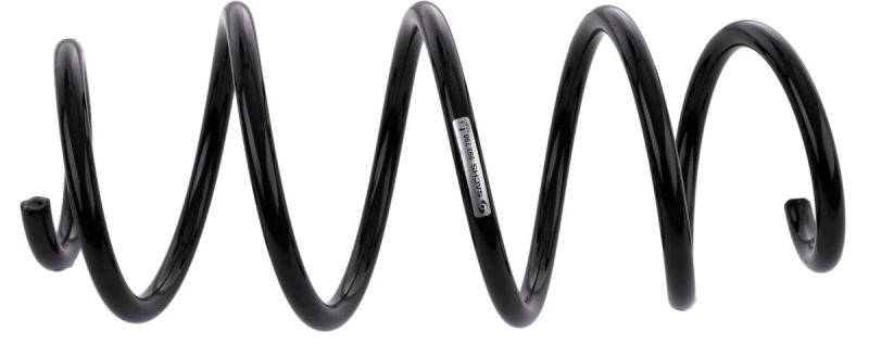 Image of Coil spring SACHS 993 798