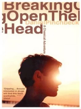 Image of Breaking Open the Head by Daniel Pinchbeck Paperback