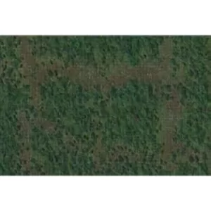 Image of Forest Battle Mat: D&D Icons of the Realms