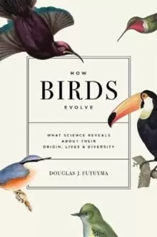 Image of How Birds Evolve : What Science Reveals about Their Origin, Lives, and Diversity