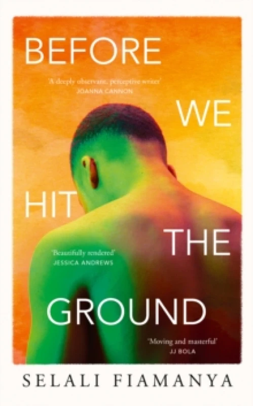 Image of Before We Hit the Ground Hardback