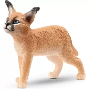 image of Caracal Baby