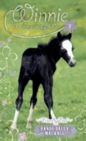 Image of 7 friendly foal