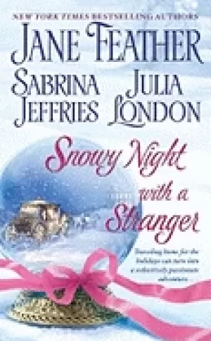 Image of snowy night with a stranger