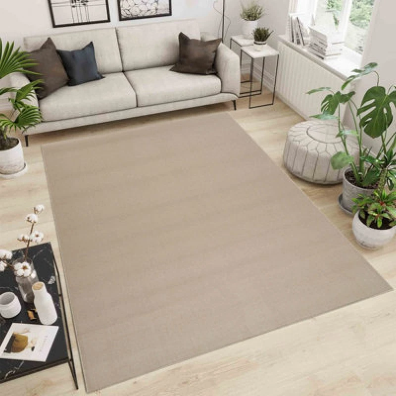 Image of Simple Low Pile Modern Tufted Area Rugs For Living Room With Felt Backing Light Beige 120X170 Cm