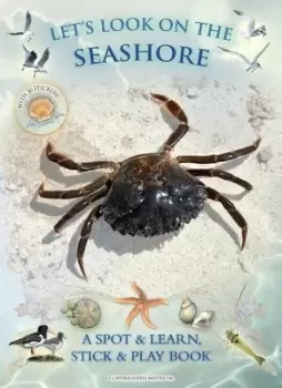Image of Lets Look on the Seashore by Andrea Pinnington
