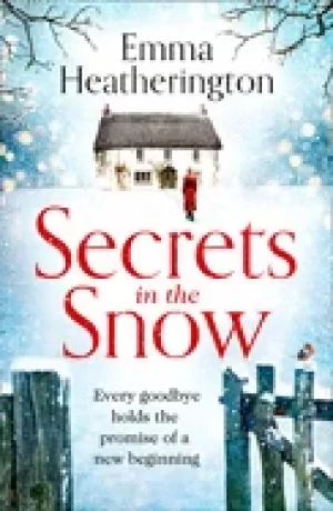 Image of secrets in the snow