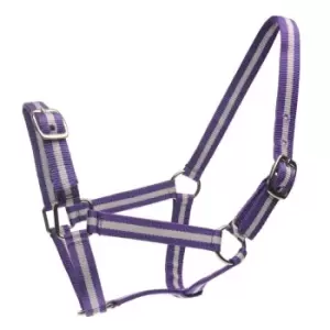 Image of Roma Headcollar and Lead Rope Set - Purple