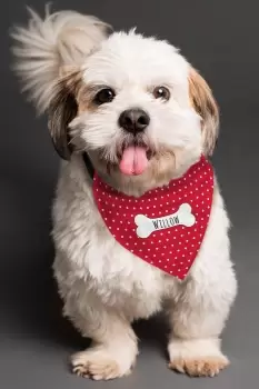 Image of Personalised Red Polka Dot Dog Bandana