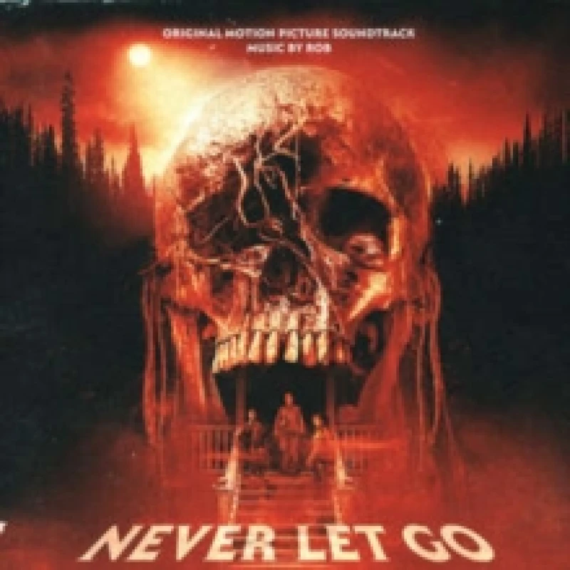 Image of Never Let Go Vinyl