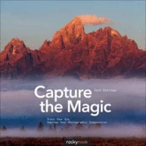 Image of capture the magic train your eye improve your photographic composition