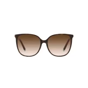 image of Tiffany & Co TF4184 Sunglasses