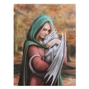 image of Safe Haven Canvas by Anne Stokes