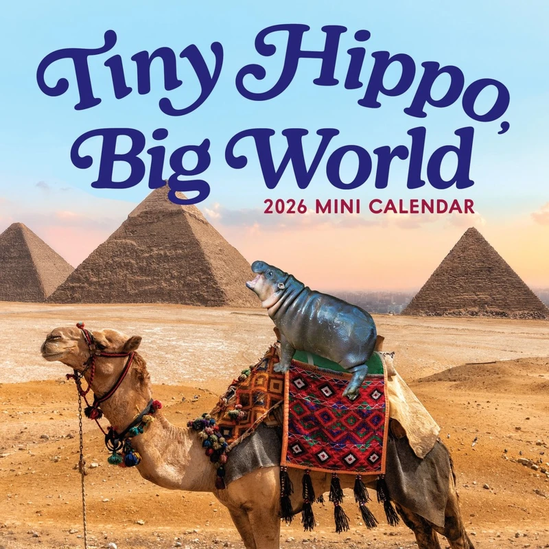Image of Tiny Hippo, Big World Mini Calendar 2026 Calendar