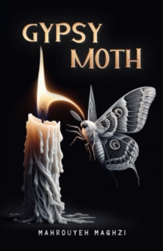 Image of Gypsy Moth Paperback / softback