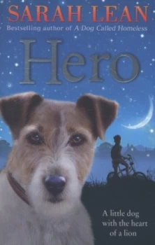 Image of Hero by Sarah Lean Paperback