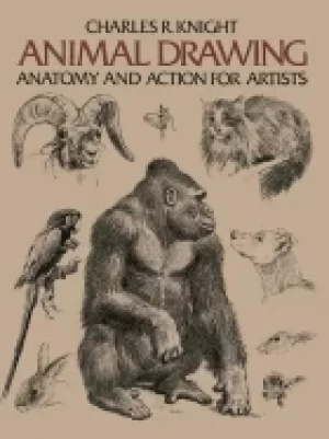 Image of animal drawing anatomy and action for artists