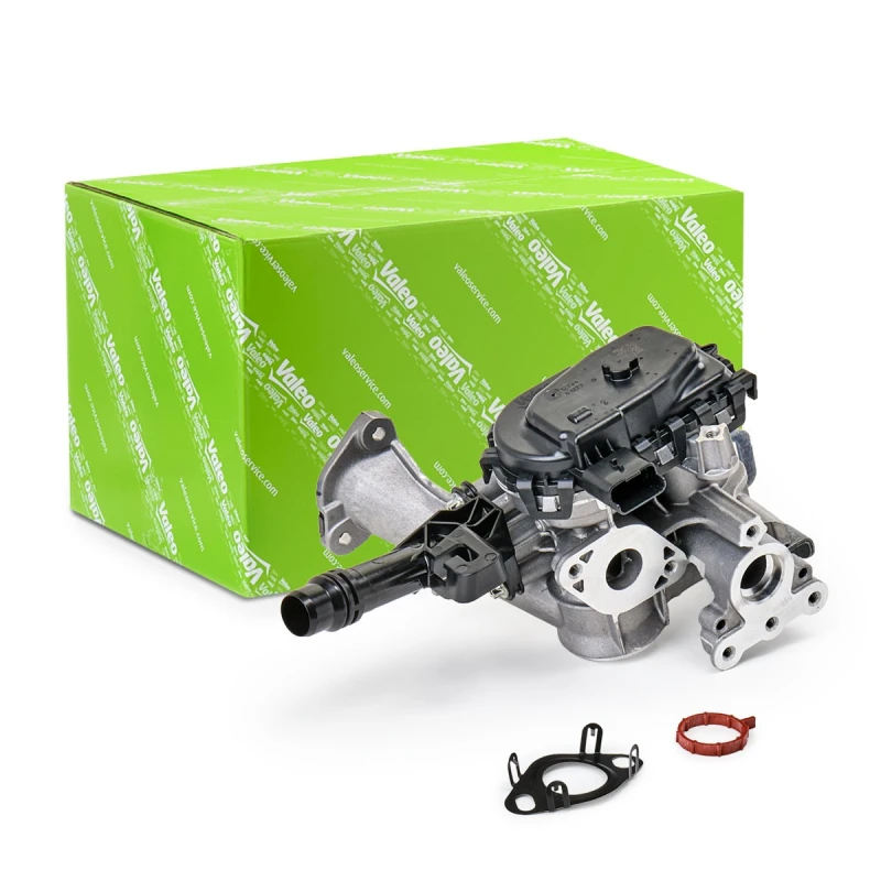 Image of EGR valve VALEO 700455