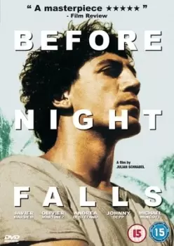 Image of Before Night Falls - DVD