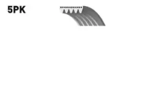 image of GATES V-ribbed belt 5PK1343 Serpentine belt,Auxiliary belt HYUNDAI,VOLVO,MITSUBISHI,GALLOPER II (JK-01),V40 Kombi (645),S40 I (644),Space Star (DG_A)