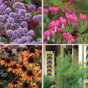 Image of Thompson & Morgan Nurserymans Choice Nursery Stock 1 Litre Pot x 10