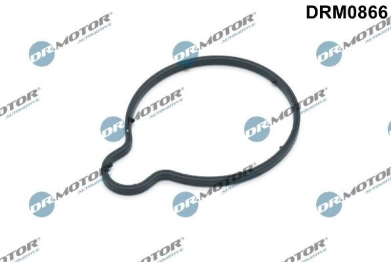 Image of DR.MOTOR AUTOMOTIVE Gasket, vacuum pump DR.MOTOR AUTOMOTIVE DRM0866