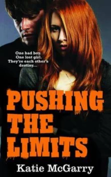 Image of Pushing the Limits by Katie Mcgarry Paperback