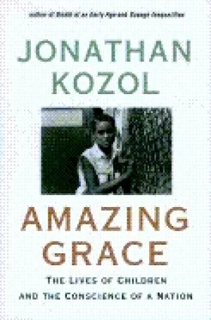 Image of amazing grace the lives of children and the conscience of a nation