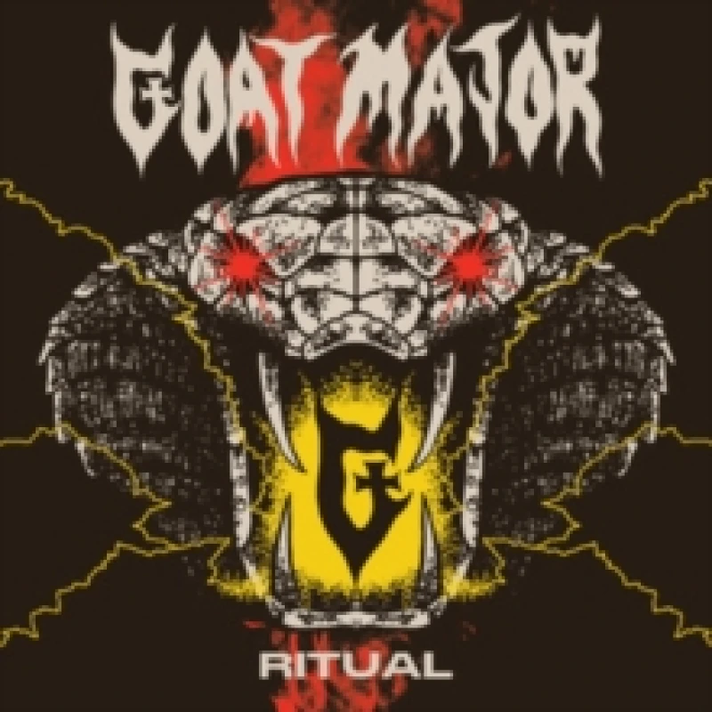 Image of Ritual Vinyl