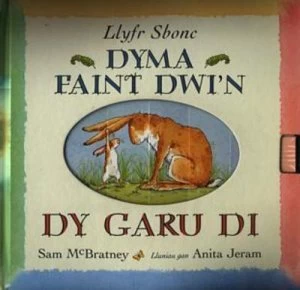 Image of Dyma Faint Dwin Dy Garu Di by Sam Mcbratney Hardback