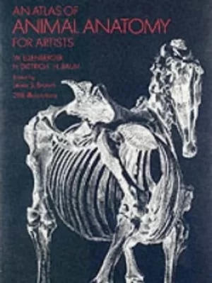 Image of An atlas of animal anatomy for artists by W. Ellenberger