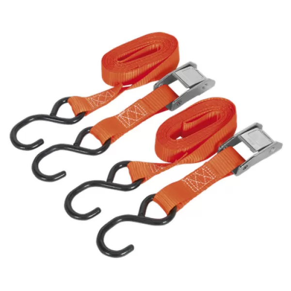 image of Sealey TD2525CS Cam Buckle Tie Down 25mm x 2.5mtr Webbing S Hooks 250kg Load