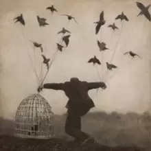 Image of The Gloaming 2