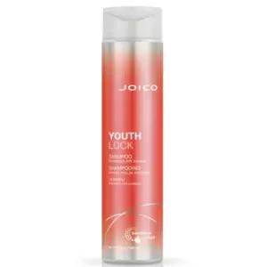 Image of Joico YouthLock Shampoo 300ml