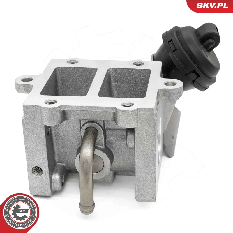 Image of ESEN SKV EGR valve ESEN SKV 14SKV290