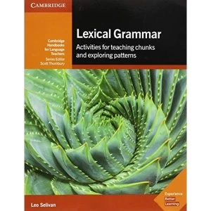 Image of Lexical Grammar Activities for Teaching Chunks and Exploring Patterns Paperback / softback 2018