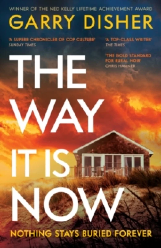 Image of The Way It Is Now : a totally gripping and unputdownable Australian crime thriller Paperback / softback