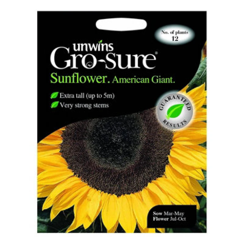 Image of Unwins Sunflower American Giant F1