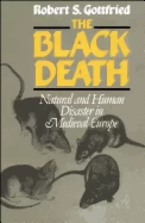 Image of black death natural and human disaster in medieval europe