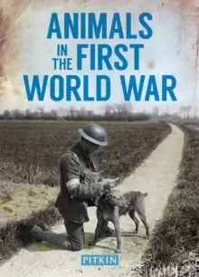 Image of Animals in the First World War