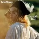 image of Goldfrapp - Seventh Tree (Deluxe Edition) (CD+DVD)